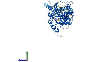 AlphaFold protein structure predicition of Human Recombinant B3GALNT1 Protein, UniprotID O75752