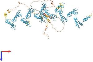AlphaFold protein structure predicition of Human Recombinant ZNF808 Protein, UniprotID Q8N4W9 (ZNF808 Protein (AA 1-903) (His tag))