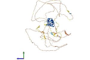 Protein Structure (PS) image for Forkhead Box O1 (FOXO1) (AA 1-652) protein (His tag) (ABIN7565186)