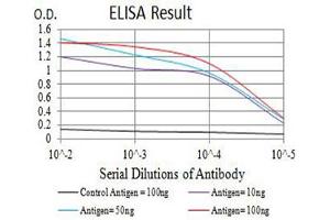 Black line: Control Antigen (100 ng),Purple line: Antigen (10 ng), Blue line: Antigen (50 ng), Red line:Antigen (100 ng) (CHRNA7 antibody  (AA 52-259))