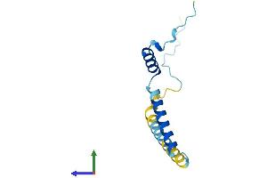 AlphaFold protein structure predicition of Mouse Recombinant Fam32a Protein, UniprotID Q9CR80 (FAM32A Protein (AA 1-112) (His tag))