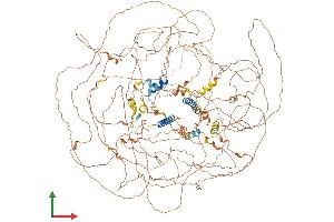 AlphaFold protein structure predicition of Human Recombinant BCL9L Protein, UniprotID Q86UU0 (BCL9L Protein (AA 1-1499) (His tag))