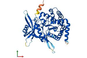 Protein Structure (PS) image for Aminoglycoside phosphotransferase Domain Containing 1 (AGPHD1) (AA 1-373) protein (His tag) (ABIN7548381)