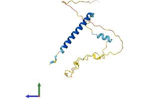 AlphaFold protein structure predicition of Mouse Recombinant Tceal1 Protein, UniprotID Q921P9
