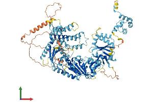 Protein Structure (PS) image for Excision Repair Cross-Complementing Rodent Repair Deficiency, Complementation Group 4 (ERCC4) (AA 1-916) protein (His tag) (ABIN7556046)