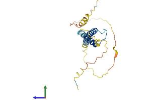 AlphaFold protein structure predicition of Human Recombinant TCF21 Protein, UniprotID O43680 (TCF21 Protein (AA 1-179) (His tag))