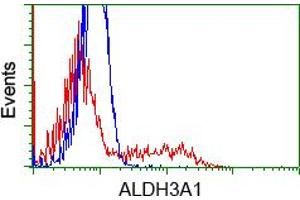 Image no. 1 for anti-Aldehyde Dehydrogenase 3 Family, Member A1 (ALDH3A1) antibody (ABIN1496591) (ALDH3A1 antibody)