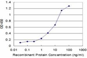Detection limit for recombinant GST tagged NUDT1 is approximately 1ng/ml as a capture antibody. (NUDT1 antibody  (AA 1-179))