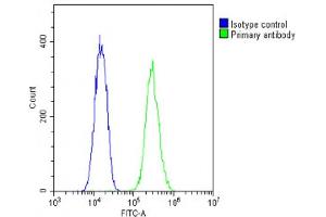 Flow Cytometry (FACS) image for anti-NK2 Homeobox 5 (NKX2-5) (AA 98-133) antibody (ABIN6243913)