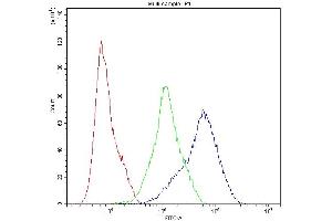Flow Cytometry analysis of A549 cells using anti-Dynamin 1 antibody (ABIN5692848). (Dynamin 1 antibody  (AA 616-667))