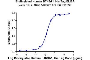 Immobilized Anti-BTN3A1 Antibody, hFc Tag at 2 μg/mL (100 μL/well) on the plate.