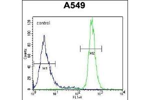 WFDC12 Antibody (C-term) (ABIN654327 and ABIN2844104) flow cytometric analysis of A549 cells (right histogram) compared to a negative control cell (left histogram). (WFDC12 antibody  (C-Term))
