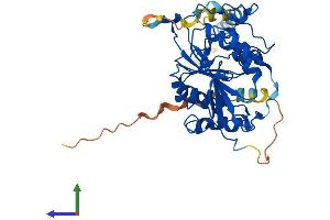Protein Structure (PS) image for UDP-Gal:betaGlcNAc beta 1,4- Galactosyltransferase, Polypeptide 3 (B4GALT3) (AA 1-395) protein (His tag) (ABIN7560125)