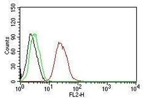 Flow Cytometry for human ER-beta on MCF-7 cells. (ESR2 antibody  (C-Term))