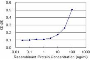 Sandwich ELISA detection sensitivity ranging from 10 ng/mL to 100 ng/mL. (ASPA (Human) Matched Antibody Pair)