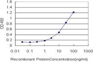 Detection limit for recombinant GST tagged GOLGA1 is approximately 0. (GOLGA1 antibody  (AA 668-767))