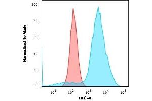 Flow Cytometric Analysis of SKBR-3 cells using B7-H4 Rabbit Recombinant Monoclonal Antibody (B7H4/2652R) followed by goat anti-rabbit IgG-CF488 (Blue); Isotype Control (Red). (Recombinant VTCN1 antibody)