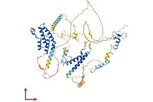AlphaFold protein structure predicition of Human Recombinant BRD7 Protein, UniprotID Q9NPI1 (BRD7 Protein (AA 1-651) (His tag))