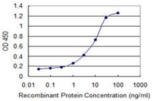 Detection limit for recombinant GST tagged NUBP1 is 0. (NUBP1 antibody  (AA 222-320))