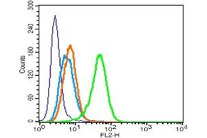 Human U937 cells probed with CD11b/c Polyclonal Antibody, Unconjugated  ) (0. (CD11b antibody  (AA 77-180))