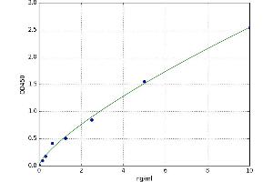 phosphoenolpyruvate Carboxykinase 1 (Soluble) (PCK1) ELISA Kit