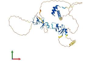 AlphaFold protein structure predicition of Human Recombinant LHX2 Protein, UniprotID P50458