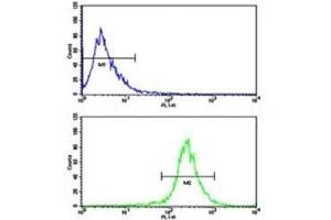 Flow cytometric analysis of WiDr cells using AXL antibody (bottom histogram) compared to a negative control (top histogram). (AXL antibody  (AA 13-44))