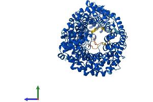 AlphaFold protein structure predicition of Mouse Recombinant Tnpo2 Protein, UniprotID Q99LG2 (TNPO2 Protein (AA 1-887) (His tag))