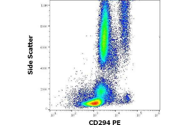 Prostaglandin D2 Receptor 2 (PTGDR2) antibody (PE)