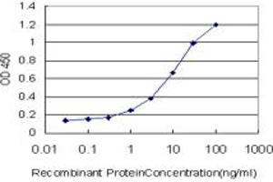 Detection limit for recombinant GST tagged BMPR1B is approximately 0. (BMPR1B antibody  (AA 14-502))