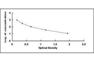 ELISA image for Peptide YY (PYY) ELISA Kit (ABIN2014330)