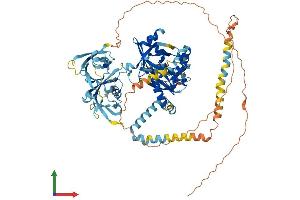 AlphaFold protein structure predicition of Human Recombinant FAM111B Protein, UniprotID Q6SJ93 (FAM111B Protein (AA 1-734) (His tag))