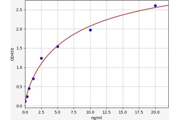 MYST1 ELISA Kit