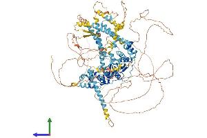 Protein Structure (PS) image for DNA Repair Protein Complementing XP-G Cells (ERCC5) (AA 1-1186) protein (His tag) (ABIN7553857)