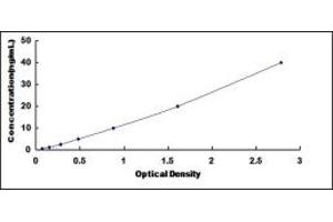 Typical standard curve (L-Selectin ELISA Kit)