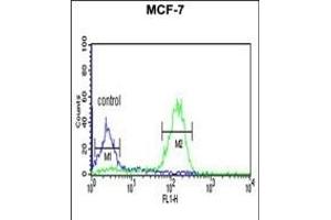 LUC7L2 Antibody (C-term) (ABIN653502 and ABIN2842911) flow cytometric analysis of MCF-7 cells (right histogram) compared to a negative control cell (left histogram). (LUC7L2 antibody  (C-Term))