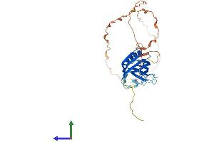 Protein Structure (PS) image for WBP2 N-terminal Like (WBP2NL) (AA 1-309) protein (His tag) (ABIN7545124)