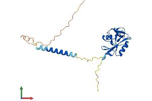 AlphaFold protein structure predicition of Mouse Recombinant Clec2h Protein, UniprotID Q8C1T8 (C-Type Lectin Domain Family 2, Member H (CLEC2H) (AA 1-218) protein (His tag))