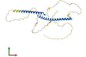 Protein Structure (PS) image for Transcription Factor EC (TFEC) (AA 1-317) protein (His tag) (ABIN7556250)