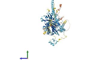 AlphaFold protein structure predicition of Mouse Recombinant Kif3b Protein, UniprotID Q61771 (KIF3B Protein (AA 1-747) (His tag))