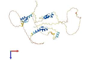 AlphaFold protein structure predicition of Human Recombinant ZNF385D Protein, UniprotID Q9H6B1