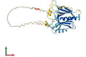 Protein Structure (PS) image for Tumor Protein P63 Regulated 1-Like (TPRG1L) (AA 1-266) protein (His tag) (ABIN7561297)