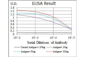 Red: Control Antigen (100ng) ; Purple: Antigen (10ng) ; Green: Antigen (50ng) ; Blue: Antigen (100ng). (PPM1A antibody  (AA 202-382))