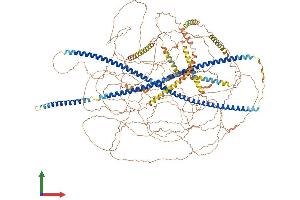 AlphaFold protein structure predicition of Human Recombinant NES Protein, UniprotID P48681 (Nestin Protein (NES) (AA 1-1621) (His tag))