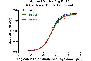 PD-1 Protein (AA 25-167) (His tag)