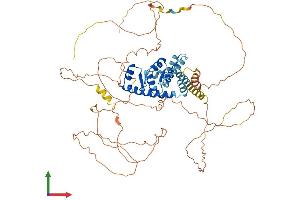Protein Structure (PS) image for A Kinase (PRKA) Anchor Protein 8-Like (AKAP8L) (AA 1-642) protein (His tag) (ABIN7565177)