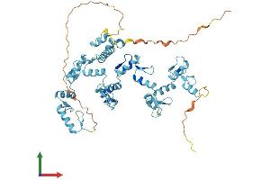 AlphaFold protein structure predicition of Human Recombinant ZNF689 Protein, UniprotID Q96CS4