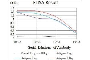 Black line: Control Antigen (100 ng), Purple line: Antigen(10 ng), Blue line: Antigen (50 ng), Red line: Antigen (100 ng), (PIWIL4 antibody  (AA 304-434))