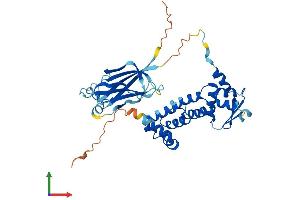 AlphaFold protein structure predicition of Mouse Recombinant Tdpoz4 Protein, UniprotID Q6YCH2