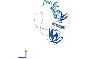AlphaFold protein structure predicition of Human Recombinant KIN Protein, UniprotID O60870 (KIN Protein (AA 1-393) (His tag))